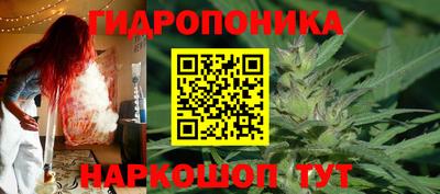 шишки Кунгур