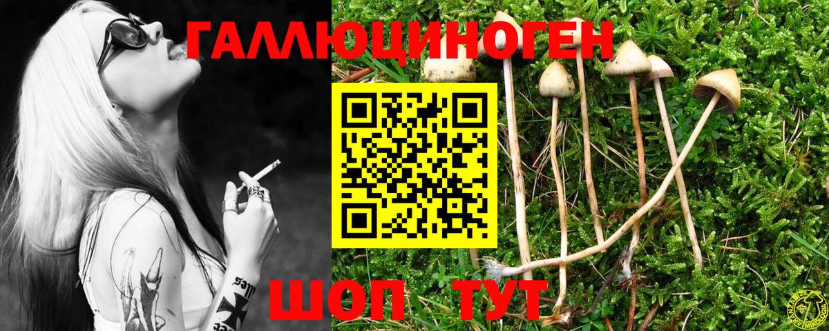 Галлюциногенные грибы мицелий Звенигород
