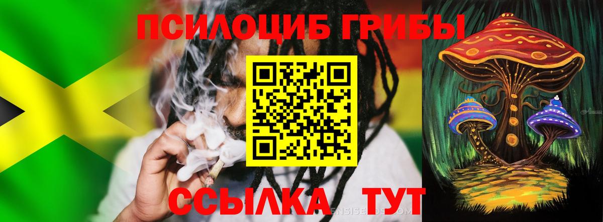 Звенигород  Псилоцибиновые грибы прущие грибы  Вход с VPN  Галлюциногенные грибы GOLDEN TEACHER 